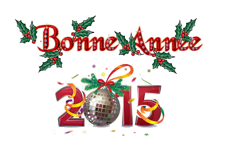 bonne annee 2015